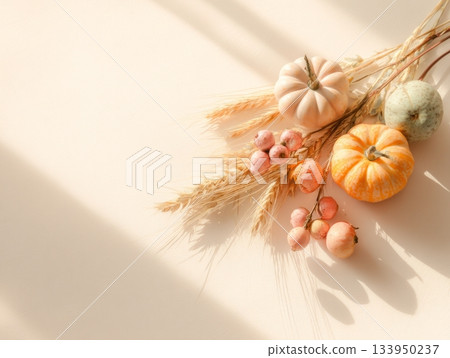 Autumn pumpkins with wheat and berries Autumn pumpkins with wheat and berries 133950237