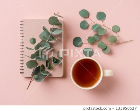 Notebook and coffee cup with eucalyptus branch 133950527