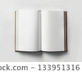 Open blank book in sunlight 133951316