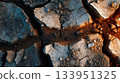 Cracked Earth Texture with Warm Light 133951325