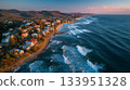 Aerial Tropical Beach District 133951328