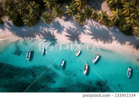 Tropical Beach Boats Aerial View 133951334