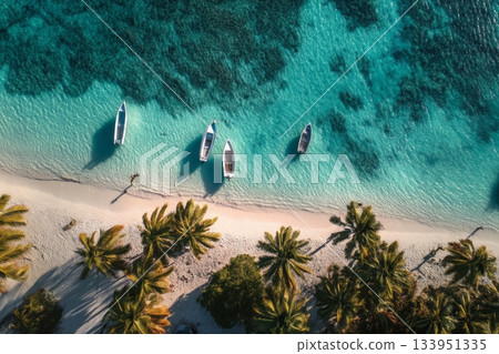 Topdown Tropical Lagoon with Boats Topdown Tropical Lagoon with Boats 133951335