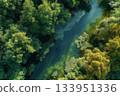 Aerial River Through Green Forest 133951336