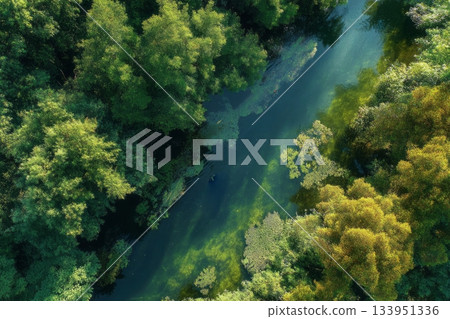 Aerial River Through Green Forest 133951336