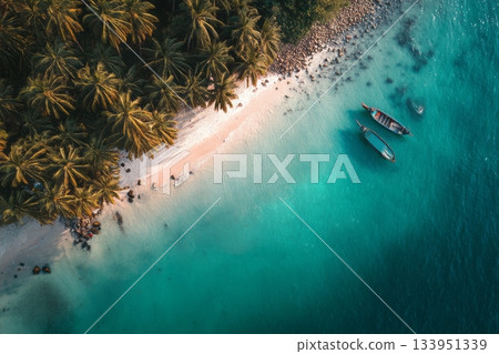 Tropical Beach Boats Aerial View 133951339