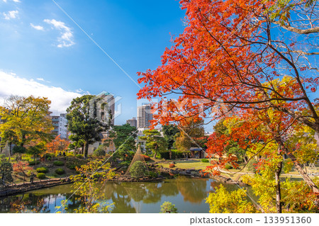 東京文京區肥後細川花園的秋色 133951360