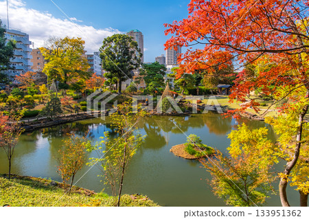 Higo Hosokawa Garden in autumn colors, Bunkyo Ward, Tokyo 133951362