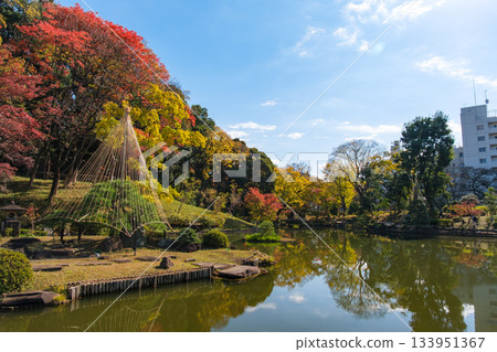 Higo Hosokawa Garden in autumn colors, Bunkyo Ward, Tokyo Higo Hosokawa Garden in autumn colors, Bunkyo Ward, Tokyo 133951367