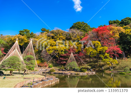 東京文京區肥後細川花園的秋色 133951370