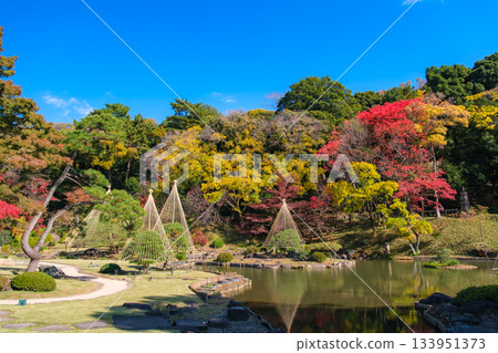 東京文京區肥後細川花園的秋色 133951373