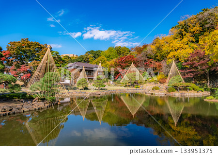 東京文京區肥後細川花園的秋色 133951375