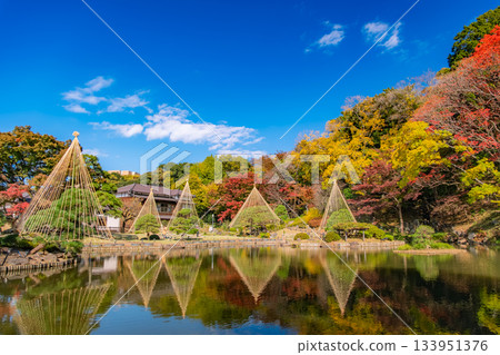東京文京區肥後細川花園的秋色 133951376