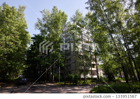 Tranquil street with trees shade, Peaceful residential avenue with light filtering through branches 133951567