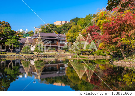 Higo Hosokawa Garden in autumn colors, Bunkyo Ward, Tokyo Higo Hosokawa Garden in autumn colors, Bunkyo Ward, Tokyo 133951609