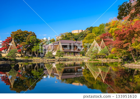 Higo Hosokawa Garden in autumn colors, Bunkyo Ward, Tokyo Higo Hosokawa Garden in autumn colors, Bunkyo Ward, Tokyo 133951610