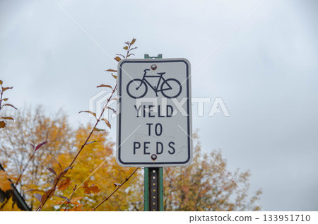 Bicycle yield sign with autumn trees in background Bicycle yield sign with autumn trees in background 133951710