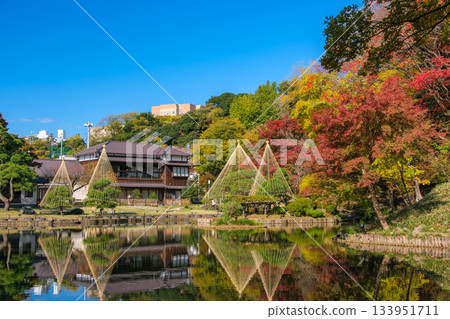 東京文京區肥後細川花園的秋色 133951711