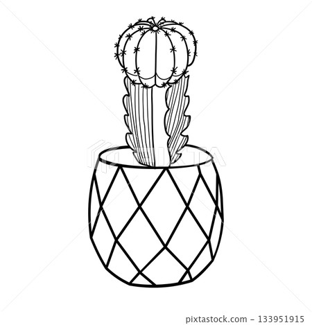 Cactus succulent in ceramic pot in doodle style vector illustration Cactus succulent in ceramic pot in doodle style vector illustration 133951915