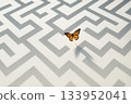 Butterfly above white maze 133952041