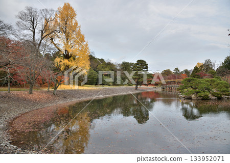 Autumn at Sento Imperial Palace in Kyoto, South Pond, Suhama Beach and Yatsuhashi (Kamigyo Ward, Kyoto City) 133952071