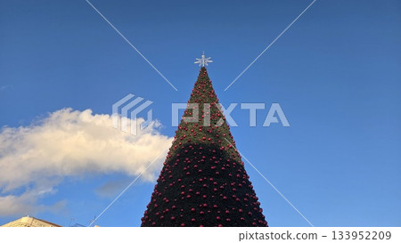 Towering christmas tree against clear blue sky for new year celebration. Horizontal banner. Copy space. Happy New Year. Merry Christmas. Free space for text Towering christmas tree against clear blue sky for new year celebration. Horizontal banner. Copy space. Happy New Year. Merry Christmas. Free space for text 133952209