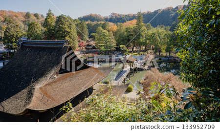 Scenery of the precincts of Kokeizan Eihoji Temple in autumn 133952709