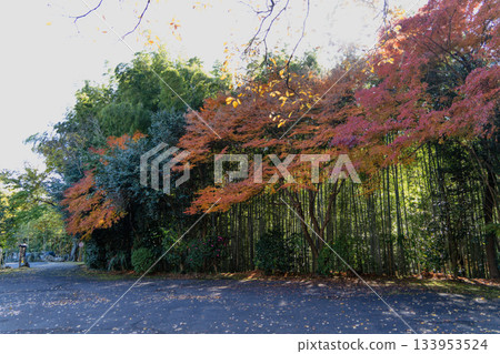 高溪山秋季自然風光 高溪山秋季自然風光 133953524