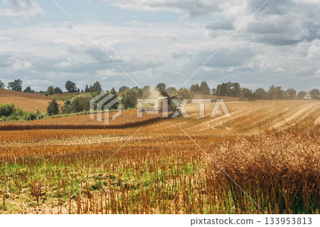 Kaliningrad, RUSSIA - July 27, 2022: harvesting winter rapeseed with a Deutz-Fahr combine Kaliningrad, RUSSIA - July 27, 2022: harvesting winter rapeseed with a Deutz-Fahr combine 133953813