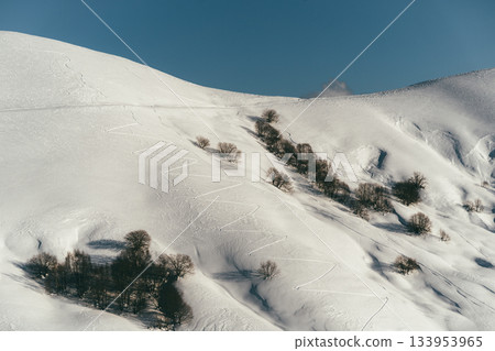 Snowy hillside with ski trails and trees near a mountain on a clear day 133953965