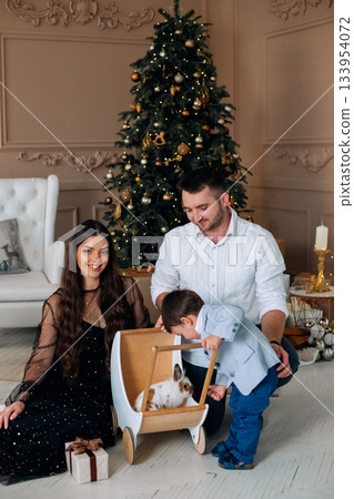 Family enjoys festive moment with pet rabbit by the Christmas tree in a cozy decorated living room during holiday season Family enjoys festive moment with pet rabbit by the Christmas tree in a cozy decorated living room during holiday season 133954072