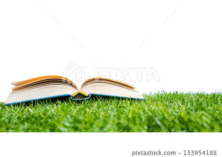 An open book resting on lush green grass. 133954188