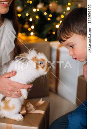 Child with excitement interacts with a rabbit during a festive holiday celebration with Christmas decorations and wrapped gifts 133954865