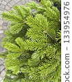 Bright green fir-tree branches festive winter holidays or simple natural background, vertical or portrait orientation, selective focus 133954976