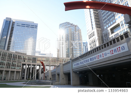 東京都 133954983