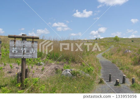 Akiyoshidai with dead grass in the spring of 2025 133955056