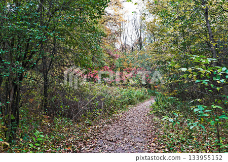 Hydrocut trails in Kitchener, Ontario, Canada. Hydrocut trails in Kitchener, Ontario, Canada. 133955152