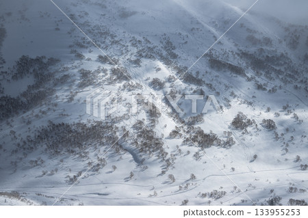 Niseko backcountry 133955253