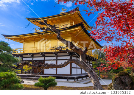 從秋葉花園眺望金閣寺 133955332