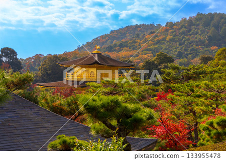 Golden castle tower surrounded by autumn leaves 133955478