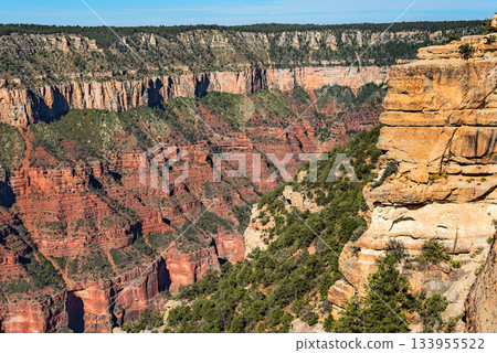 Grand Canyon landscape from North Rim, Arizona, USA Grand Canyon landscape from North Rim, Arizona, USA 133955522