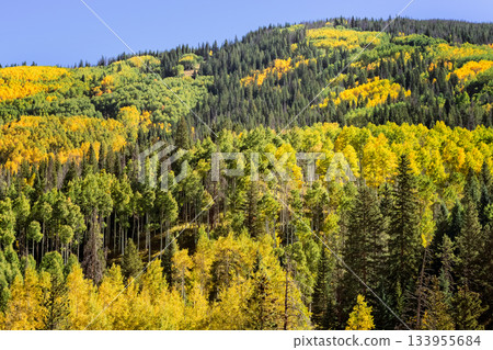 Landscape in Rocky Mountains in Colorado, USA. 133955684
