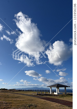 伊豆大島棕櫚灘線 133956196