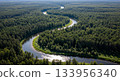 aerial view of a forest 133956340
