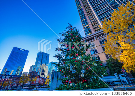 [Tokyo] Marunouchi Gyoko-dori Street, decorated for Christmas, early morning 133956460