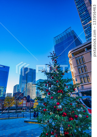 [Tokyo] Marunouchi Gyoko-dori Street, decorated for Christmas, early morning 133956463