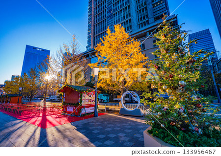 [Tokyo] Marunouchi Gyoko-dori Street, decorated for Christmas, early morning 133956467