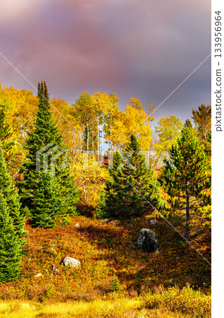 Fall colors Algonquin Park, Ontario, Canada. Fall colors Algonquin Park, Ontario, Canada. 133956964