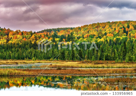 Fall colors Algonquin Park, Ontario, Canada. Fall colors Algonquin Park, Ontario, Canada. 133956965
