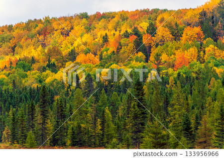 Fall colors Algonquin Park, Ontario, Canada. Fall colors Algonquin Park, Ontario, Canada. 133956966